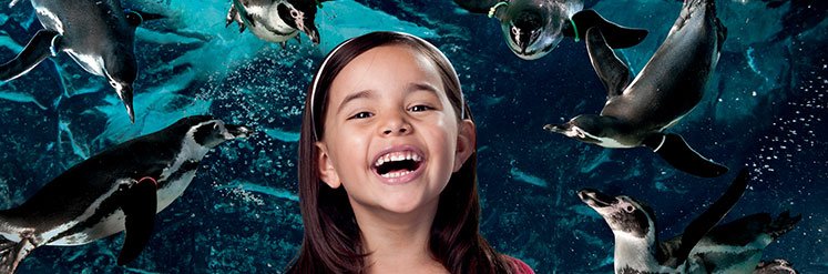 Acquario Cattolica Le Navi – Oltremare Riccione