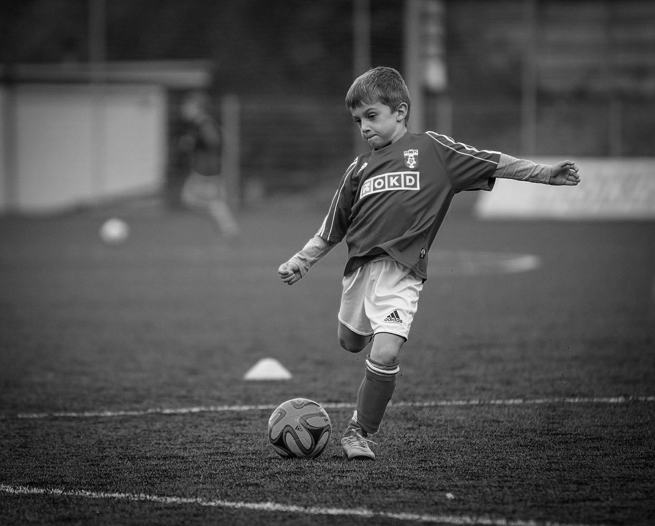 Sport a Cattolica