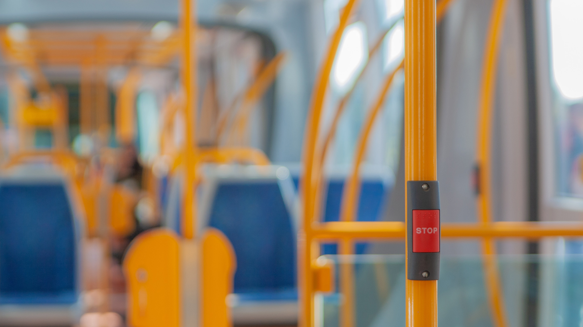 Blue Line – Linea notturna verso le principali discoteche