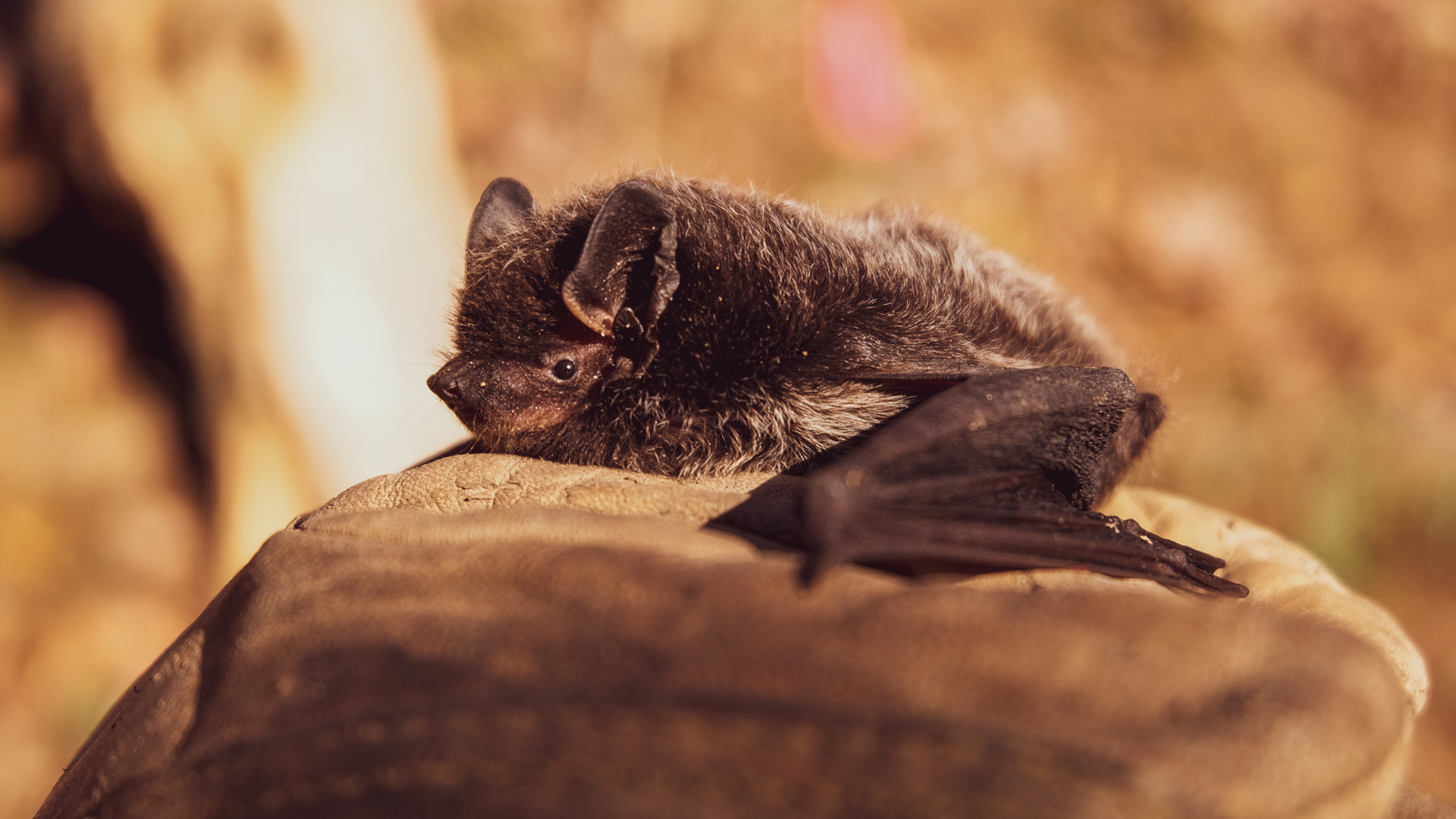 Grotte di Onferno e il territorio
