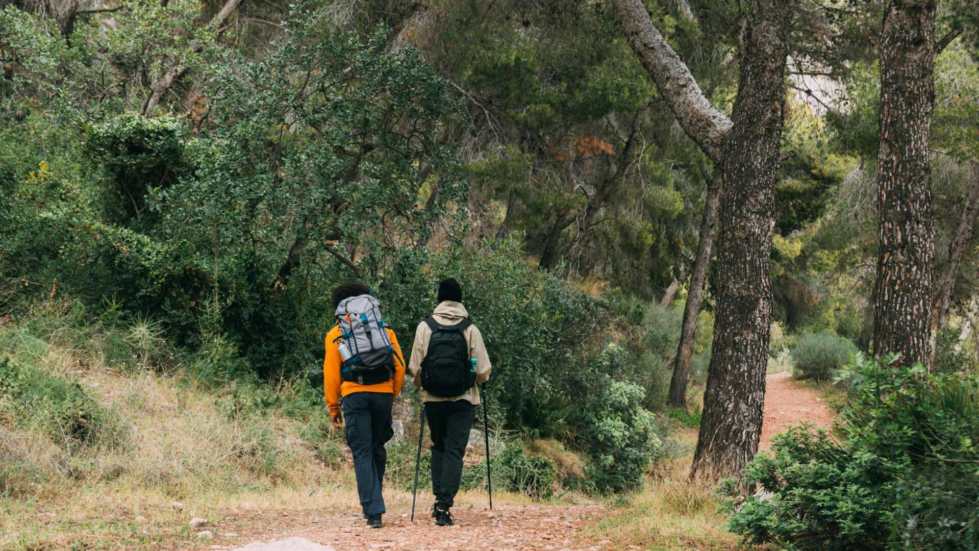 Nordic Walking Cattolica