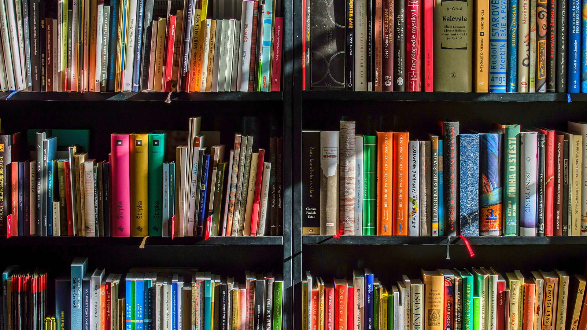 Centro Culturale Polivalente di Cattolica