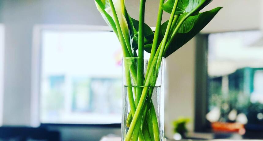 Mediterraneo Hotel & Suites