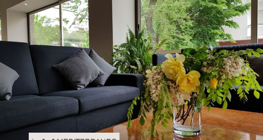 Mediterraneo Hotel & Suites